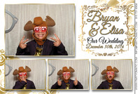 Elisa&Bryan_1222