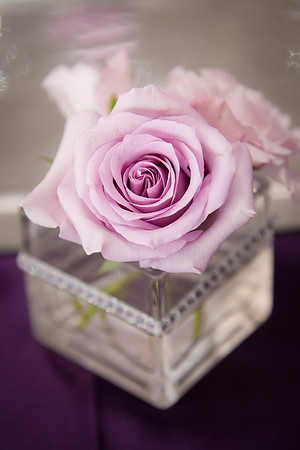 Diana&John_0503