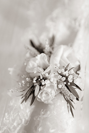 Sammi&Randi-0127