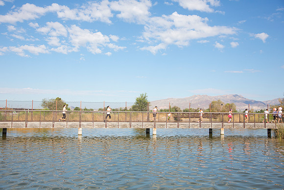 COLOR_RUN_EL_PASO_255